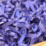Asistencia técnica externa para la identificación, capacitación e implementación de la figura de la persona de referencia para las víctimas de violencia de género