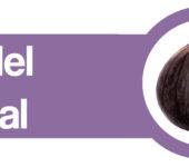El Balance Social de Andaira