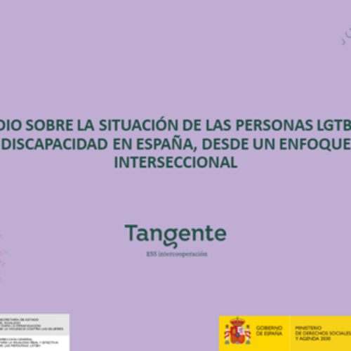 Estudio sobre la situación de las Personas LGTBI con Discapacidad en España, desde un enfoque interseccional