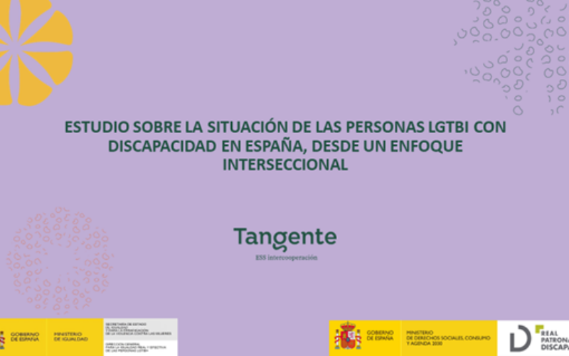 Estudio sobre la situación de las Personas LGTBI con Discapacidad en España, desde un enfoque interseccional