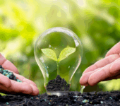 Mujeres en la Transición Ecológica 2025
