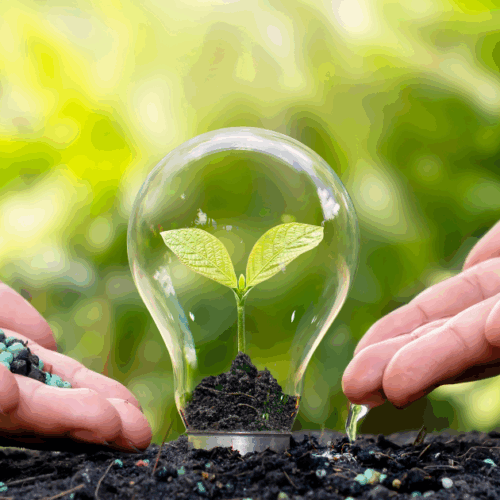 Mujeres en la Transición Ecológica 2025