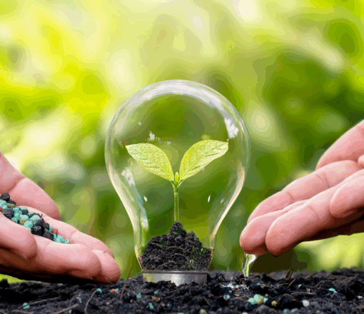 Mujeres en la Transición Ecológica 2025