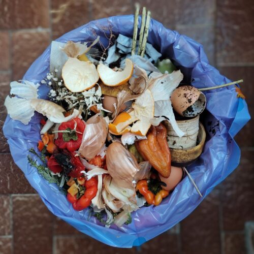 Proyecto FORWARD (Food Waste Reduction): «De la conciencia a la acción: escuelas y hogares contra el desperdicio alimentario»