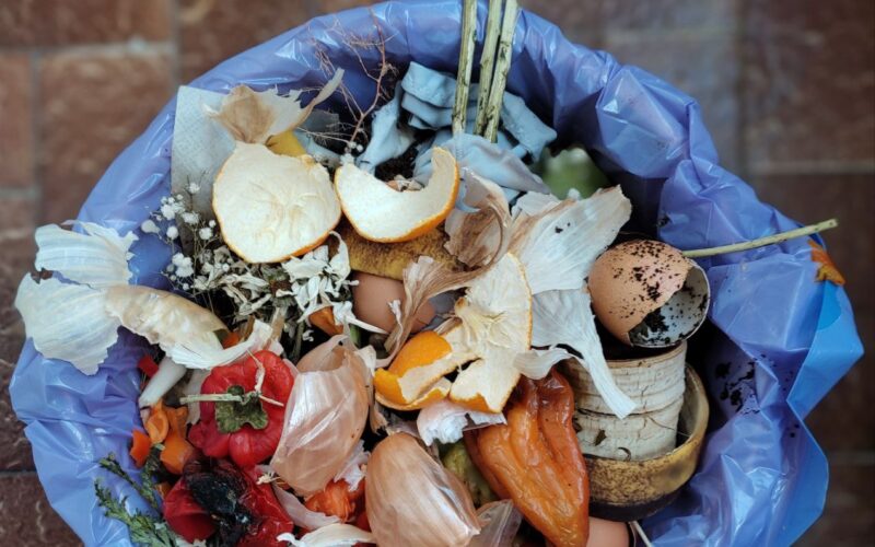 Proyecto FORWARD (Food Waste Reduction): «De la conciencia a la acción: escuelas y hogares contra el desperdicio alimentario»