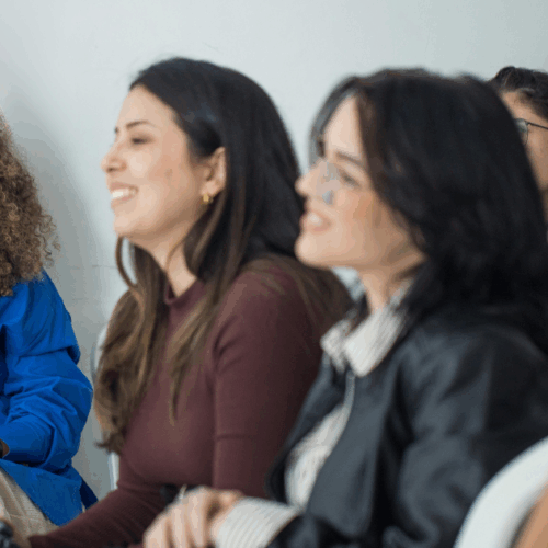 Proceso participativo Mujeres en las artes visuales (MAV)