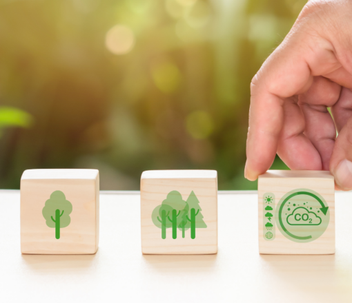 Estudio sobre la gestión de los riesgos laborales derivados del cambio climático