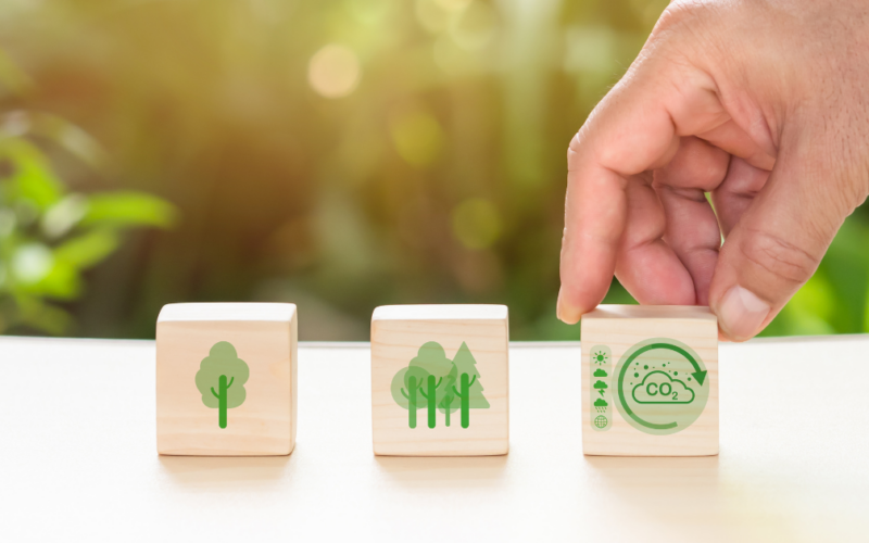 Estudio sobre la gestión de los riesgos laborales derivados del cambio climático