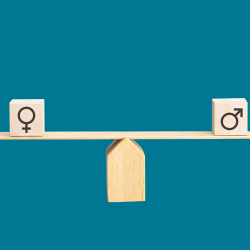 Programa de Fortalecimiento de Organizaciones – Planes de Igualdad de Oportunidades entre Mujeres y Hombres