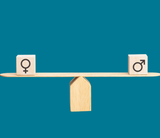 Programa de Fortalecimiento de Organizaciones – Planes de Igualdad de Oportunidades entre Mujeres y Hombres