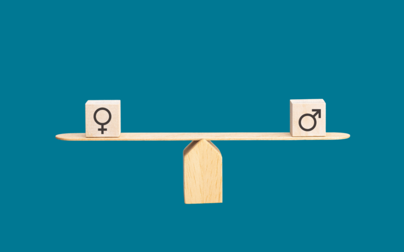 Programa de Fortalecimiento de Organizaciones – Planes de Igualdad de Oportunidades entre Mujeres y Hombres